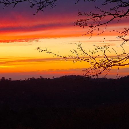 Yosemite Foothill Retreat - Private Guest Suite #2 Корсеголд Экстерьер фото