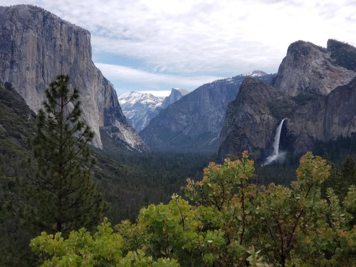 Yosemite Foothill Retreat - Private Guest Suite #2 Корсеголд Экстерьер фото