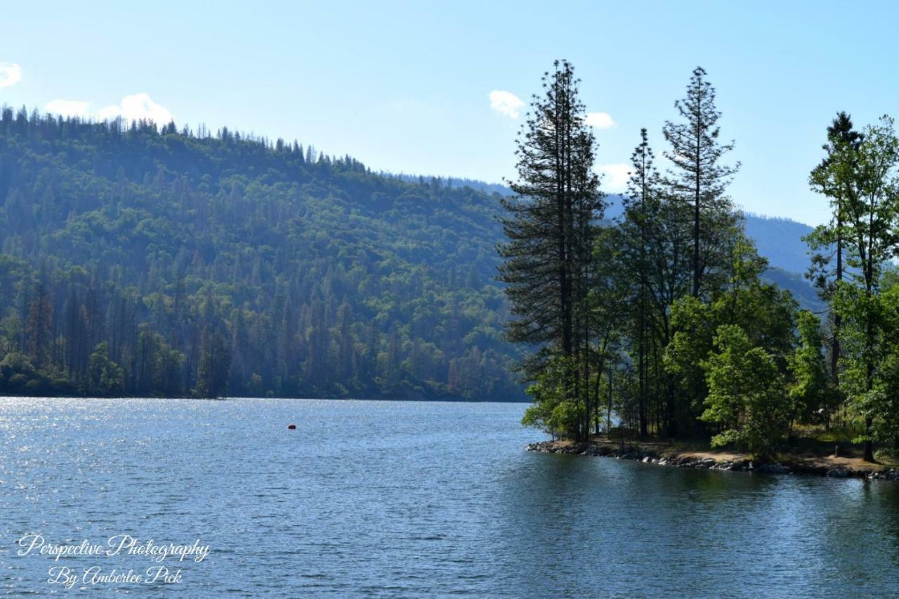 Yosemite Foothill Retreat - Private Guest Suite #2 Корсеголд Экстерьер фото